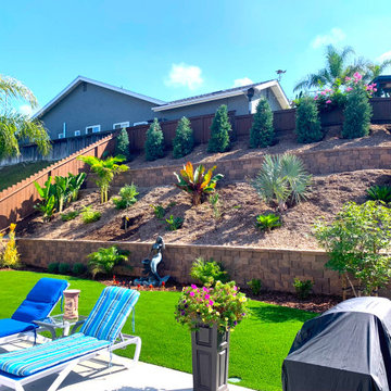 Carlsbad Tropical Oasis