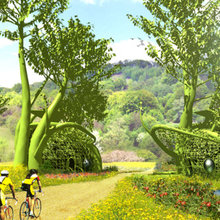 jardin