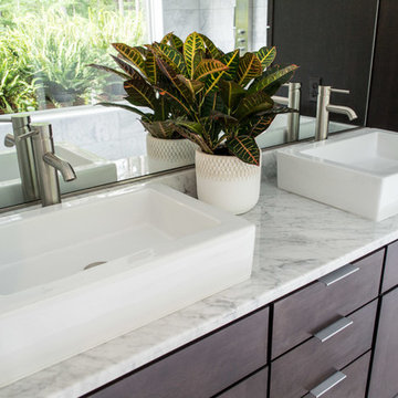 Contemporary Master Bath