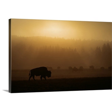 "Bison at sunset" Wrapped Canvas Art Print, 36"x24"x1.5"
