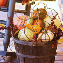 Fall