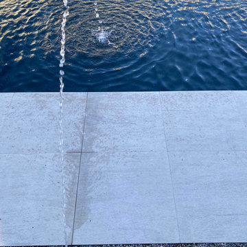 Contemporary Water Garden