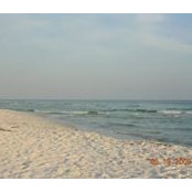 Betsy Choate's photo