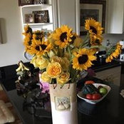 Denise Luke-Cauthen's photo