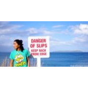 Max Low's photo