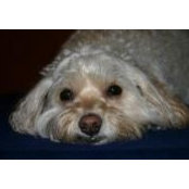 Randy Griswold's photo