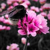 Hannah Wilson's photo