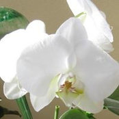 Linda Huot's photo
