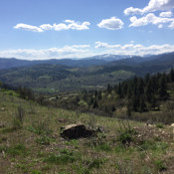 Ana Rodriguez's photo
