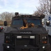 Brian Golder's photo