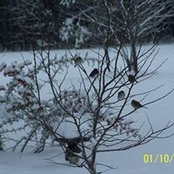 Terri Saint's photo