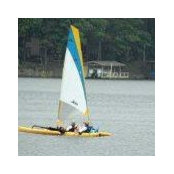 Linda Drew's photo