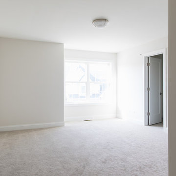 Shiplap Splendor