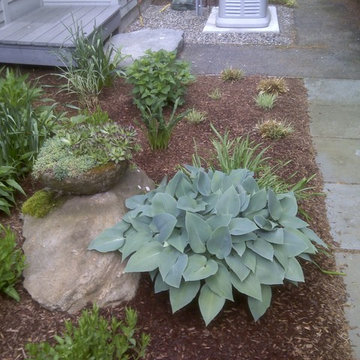 Garden (low maintenance)