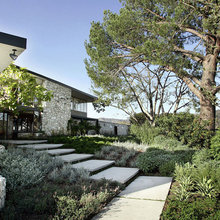 Garden / Yard
