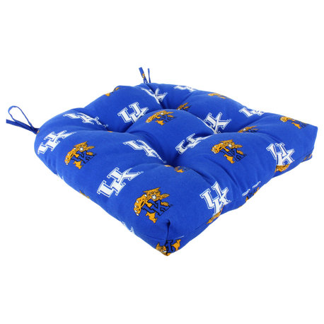 Kentucky Wildcats D Cushion 20"x20"