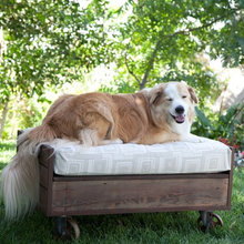 Dog Beds