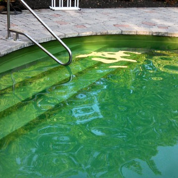 Freeform Pools