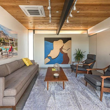 Desert Eichler #3