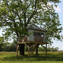 tree house