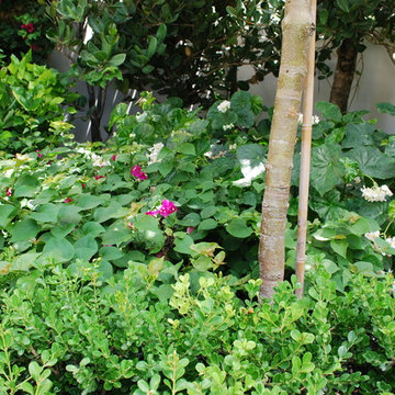 Rood Landscape Projects