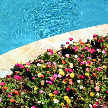 Italian Renaissance Style Home and Gardens