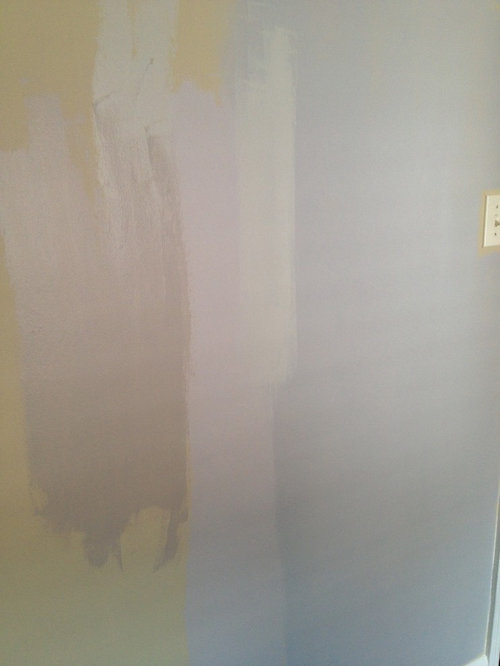 Cannot Find A Sherwin Williams Gray That Looks Gray