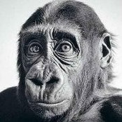 Chris Johnstone's photo