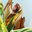 Rainforest Art Factory Pte Ltd