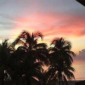 Stefanie Oelmann's photo