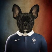 Foto von Mickael E. Ar