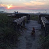 Bill Huray's photo