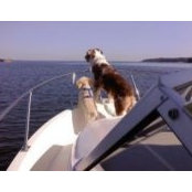 Rocky Furano's photo