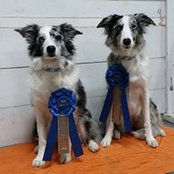 Angela Dotson's photo
