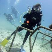 Leong Biang's photo