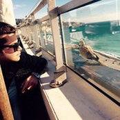 Yaniss Boudjemaa's photo
