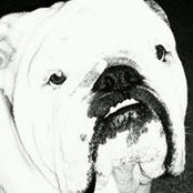 Chunk Chunk's photo