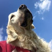 Daniela Steinrode's photo