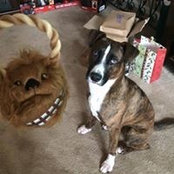 Rachel Lovano's photo