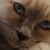 Jeni Creach's photo