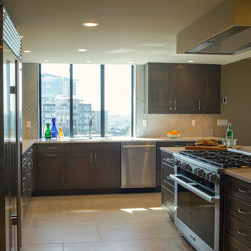 Downtown Seattle Penthouse Kitchen Remodel