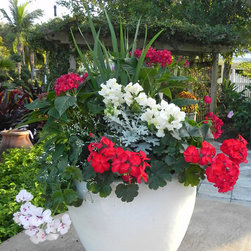 container gardens - Gardening And Lawn Care
