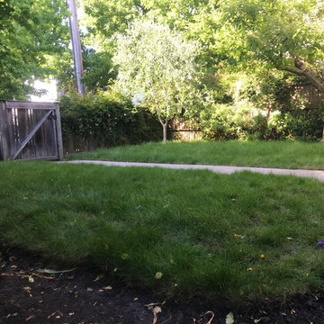 Landscape Installations