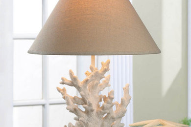 Home design - transitional home design idea in Orlando