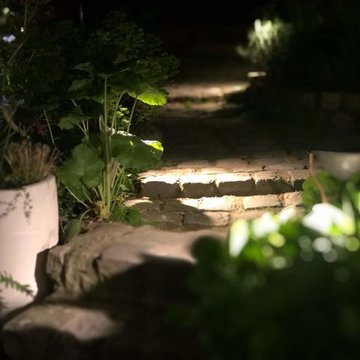Aménagement paysager d'un jardin au coeur de Malakoff...
