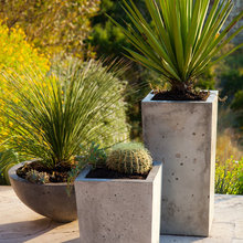Landscape & Outdoor Areas