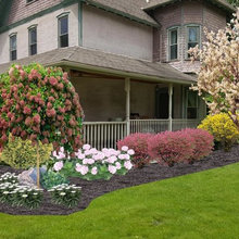 Front Foundation