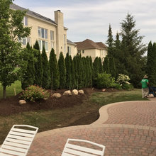 Landscaping