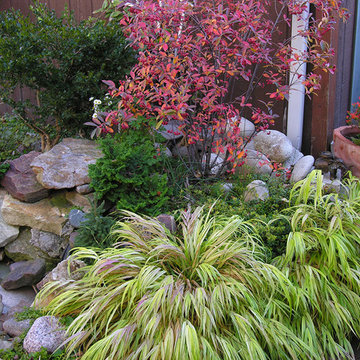 All seasons garden | Artistry Landscaping Design