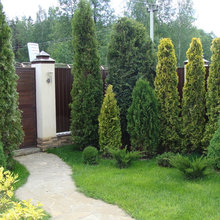 Ландшафт